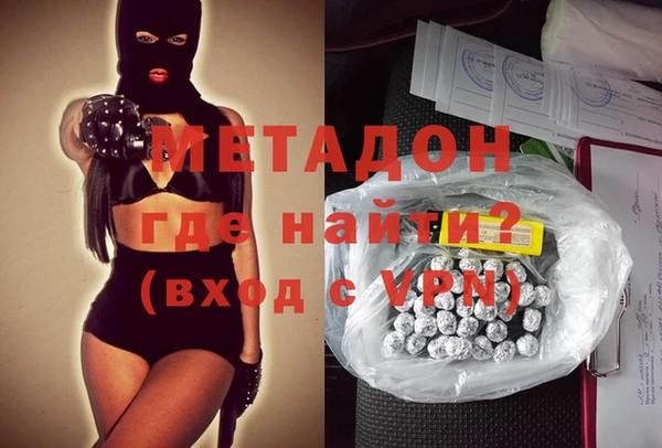 прущие грибы Аркадак