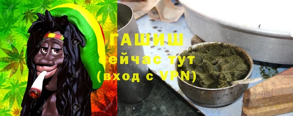 прущие грибы Аркадак
