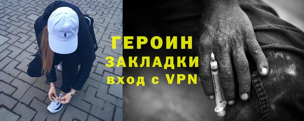 прущие грибы Аркадак